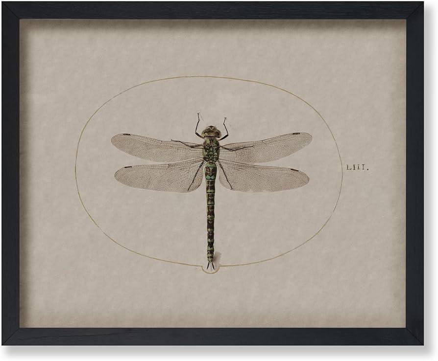 Poster Master Vintage Dragonfly Poster - Dark Academia Artwork - Unique Wall Decor Gift for Home, Living Room, Kitchen, Office, Bedroom, Bathroom - Insect Scientific Print, 9x11 Brown Framed