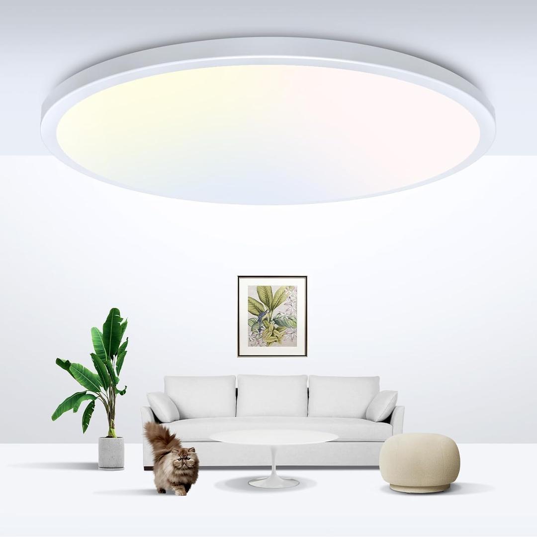 zemty LED Ceiling Light Flush Mount Super Slim 9 Inch 24W 2400lm Ceiling Lights with 3 Color Temperature in One 3000k/4500k/6000K - Round Flat Light Fixture for Kitchen Hallway (1Pack, White)