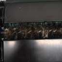 Eyliden Carpet Sweeper, Mini Size Lightweight Hand Push - No Noise, Non-Electric, Easy Manual Sweeping Only for Carpet Cleaning (Mint)