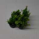 Der Rose Fake Plants 4 Packs Artificial Plants Small Faux Plants Black Bathroom Accessories for Bathroom Home Office Desk Decor Indoor (Green)