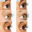 tarte lights, camera, lashes 4-in-1 mascara Volume, Length, Curl & Conditioning for Fuller Looking Lashes, Smudge-Proof, Flake-Free, Longwear, Vegan & Cruelty Free
