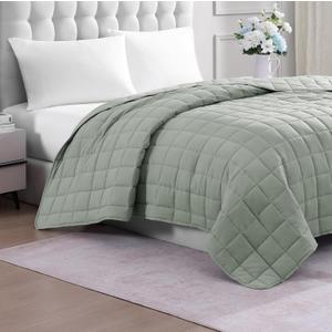 Casa Platino Quilted Blanket Full Size - Pre Washed - Soft & Lightweight- All Season Full Blanket - Premium Microfiber Down Alternative Bed Blankets - Mineral