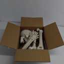 JOYIN 5 Pcs Halloween Skeleton Decorations Outdoor, LED Life Size Skeleton Yard Stakes, Light Up Full Body Realistic Skulls Decor for Graveyard Yard Lawn Garden Holiday Party Decoration