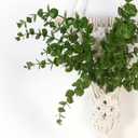 Macrame Wall Hanging Plants with LED Lights, White Cotton Rope, Wooden Dowel, Boho Woven Plant Holders with Artificial Eucalyptus Leaves, wall Decor, Set of 2 (Green)