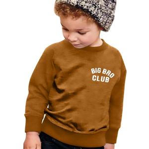 BANGELY Big Bro Club Sweatshirt Boys Promoted to Big Brother Pullover Pregnancy Baby Announcement Toddler Long Sleeve Shirt (2-3T)