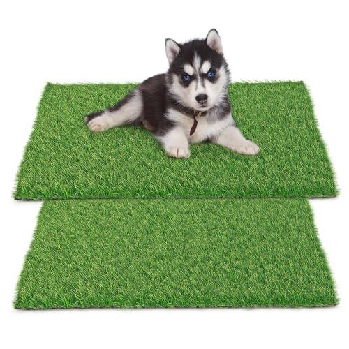 STARROAD-TIM 30 x 20 inches 2 Pack Fake Grass Pee for Dogs Artificial Grass Rug Pad for Puppy Potty Washable Grass Mat for Pet Training with Drainage Hole