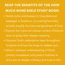 How Much More - Bible Study Book: Discovering Gods Extravagant Love In Unexpected Places