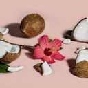 SheaMoisture Curl Enhancing Smoothie Hair Cream Coconut and Hibiscus for Thick, Curly Hair Sulfate Free and Paraben Free Curl Cream 20 oz (20 Ounce (Pack of 1))