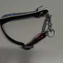 RC Pets 3/4" Martingale Training Collar, Small, Pitter Patter Pink (Small - 0.75" Width)