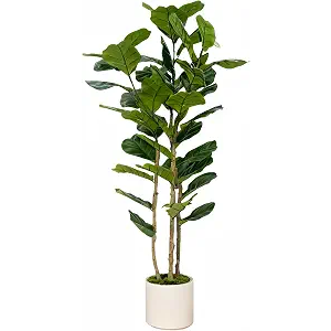 Artificial Fiddle Leaf Fig Tree 6FT with White Tall Planter-Large Faux Tree Tall Fake Floor Plant in Pot,Artificial Plants Indoor for Home Office Living Room Décor(Lyrata 6FT)