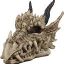 Ebros Gift Jurassic Beowulf Elder Dragon Head Skull Realistic Fossil Statue 7.75" Long Miniature Figurine Might and Magic for Medieval Fans Game of Thrones Lovers Dungeons and Dragons Fantasy Decor