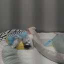 Skip Hop Baby Play Gym Montessori Inspired, Infant Playmat, Discoverosity