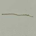 6mm Bracelets Variations