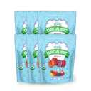 Lovely Candy Co. Organic Lollipops, 16oz Bag (6-Pack) | Vegan, Gluten-Free, Non-GMO, NO Artificial Colors or Flavors | Mango, Strawberry, Grape & Pomegranate Flavored Candy