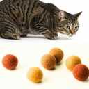 Miao and Woof Wool Felt Cat Ball Toys 6-Pack Quiet, Soft, Durable, Handmade Wool Cat Toys for Indoor Cats & Kittens, Natural Eco-Friendly Silent Felt Balls for Chasing, Batting & Daily Exercise
