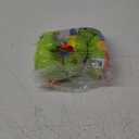 Baby Toys 0-6 Months, Washable Baby Musical Caterpillar Toys with 10 Kid's Songs,Rattles,BabyTeething Toys,Suitable for 0-6, 6-12 Months Infant Tummy Time Toy,Newborn Baby Boy&Gril Gifts (Green)