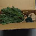 Kadunmina 2ft Pre-lit Table Top Christmas Tree, Small Artificial Xmas Tree with 50 LED Lights/177 PE&PVC Tips/Berries&Pinecones, 24 Inch Mini Tree with Burlap Base for Holiday Indoor Decor, 8 Modes