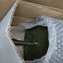 4FT Pre-Lit Artificial Norfolk Pine Christmas Tree  Realistic Potted Tree with 100 LED Lights & 8-Function Battery Box, Pre-Assembled Faux Holiday Dcor for Indoor Use