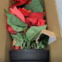 14" Artificial Poinsettias Christmas Plants with Red Berry Fake Poinsettia Flowers in Pot for Home Garden Portch Office Indoor Outdoor Christmas Decorations Red
