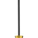 Emak Black and Gold Pendant Lights, 10 Inch Large Pendant Light Fixtures with Clear Glass Shade, Modern Farmhouse Island Lights for Kitchen, Dining Room, Bathroom, Bar, PL131-BKBGD-CG