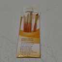 Princeton Art & Brush Synthetic Gold Taklon Real Value Brush Set, 6/Pkg