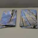 Patelai 4 x 2 Feet Light Cover for Fabric Ceiling Classroom Magnetic Cubicle Shade with 10 Magnets Light Filters for School Home Office Drop Lamp Decor(Winter Forest)