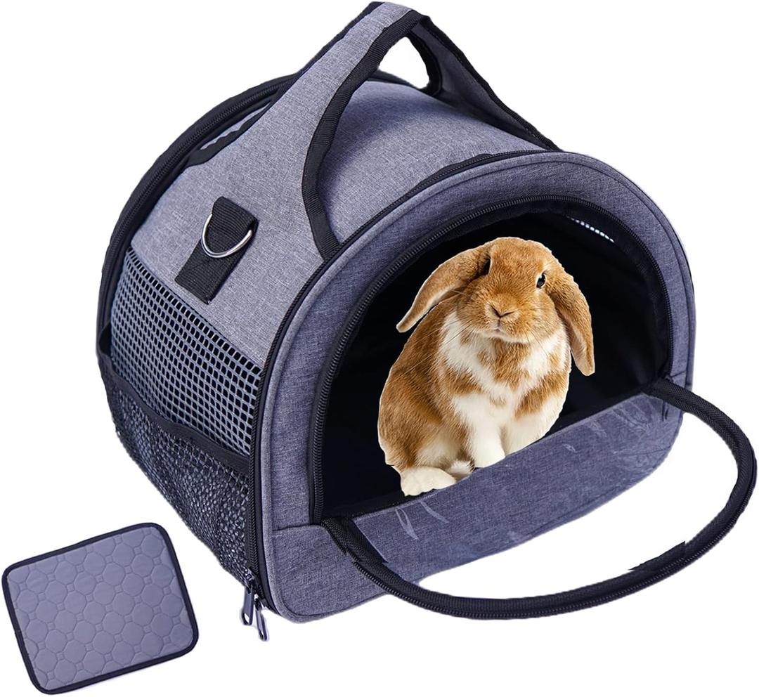 Guinea Pig Carrier, Small Pet Carriers for Rabbit Hamster Bird Bunny Bearded Dragon Kitty and Etc. Animal Bag with Stable Handle and Waterproof Pad, Easy Travel and Vet Visit-Large (12.0"L x 10.0"W x 1.0"H)