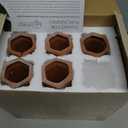 6 Pack Terracotta Watering Spikes for Indoor and Outdoor Plants - Simple and Easy Setup - Keep Plants Happy and Watered While You are Away