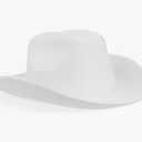 Zodaca Felt Cowboy Hat for Men and Women, Western Cowgirl Hat for Halloween Costume Birthday Bachelorette Party (Adult Size)