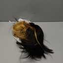 Yolissa Honey Blonde Wig Human Hair Short Blonde Wig Straight Wigs Human Hair 13x4 Lace Front Wigs Glueless Wigs Pre Plucked Pre Cut Wig For Women 14in