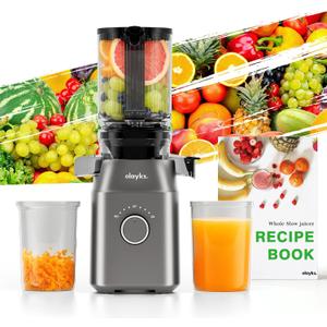 Juicer Machines, Cold Press Juicer for Fruit and Vegetable, Masticating Machine with Juice Recipe, Self Feeding Effortless for Batch Juicing,Easy to Clean,High Juice Yield
