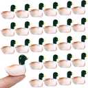 50 Pcs Mini Resin Mallard Mini Ducks Tiny Ducks Figurines Bulk for Garden Micro Landscape Doll House Aquarium Potted Ornament DIY Craft Project Bonsai Moss Terrarium (Mallard)
