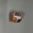 Douglas Francine Red Fox Plush Stuffed Animal