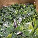 Palonu Artificial Hanging Plants for Shelf, 4 Pack Fake Potted Greenery Faux Eucalyptus Vine, Mandala Vine, String of Pearls,Pea pod Leaves in Pot for Office Living Room Bathroom Indoor Outdoor Dcor