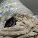 Bedsure Sherpa Throw Blanket for Couch - Super Soft, Cozy Fleece Thick Warm Blanket for Winter, GentleSoft Plush & Fluffy Christmas Throw Gift for Women, Room Decor, Beige, 50x60 Inches