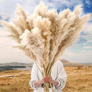 30 Stems 32 Inch Fluffy Pampas Grass Decor Tall Natural Dried Flowers Bouquet for Boho Home Decorations, Large Phragmites for Floor Vase, Wedding Floral Arrangements, Farmhouse