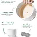 LE TAUCI Ceramic Pots for Plants, 6.8 Inch Plant Pots with Drainage Hole & Saucer, Modern Planter for Indoor Plants, Stable & Durable, Perfect for Living Room or Office Decor, White