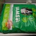 IAMS Proactive Health Adult Minichunks Premium Dry Dog Food, Adult Dog Food Dry Recipe, 30 lb. Bag (EXP 10/15/25)