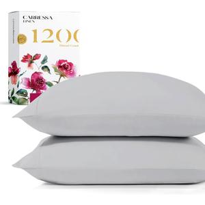 Carressa Linen 1200 TC Light Grey Queen Pillowcase Set of 2, Extra Long Staple 100% Egyptian Cotton Pillow Cover for Sleeping, Soft & Silky Premium Sateen Weave Pillowcase for Bed Pillows