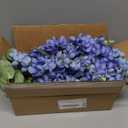 mizii 6Pcs Royal Blue Wisteria Hanging Flowers 48" Silk Wisteria Artificial Flowers Garland Vines Fake Hanging Flowers Decoration for Wedding Flower Wall Backdrop Centerpieces Room Decor (Royal Blue)