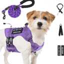 No Pull Tactical Dog Harness for Small Dogs, Escape Proof Molle Dog Vest Harness and Leash Set, Adjustable Military Service Dog Harness with Handle (Purple, Small)