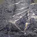 mixinni Navy Blue Floral King Size Quilt Set Soft Cotton Double-Layer Neutral Style Paisley Quilt Bedding Set Farmhouse Bedspread Coverlet Sets, 3-Pieces Including Pillow Shams (106x96 Inches)