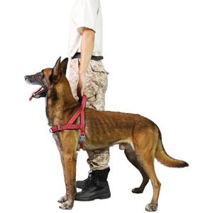 No Pull Dog Harness, Reflective Puppy Harness with Soft Padded Handle, Escape Proof/Quick Fit Adjustable Pet Harness for Small Medium Large Dogs, Easy for Training Walking (Red, XL)