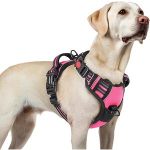 rabbitgoo Dog Harness for Large, No Pull Pet Harness with 3 Buckles, Adjustable Soft Padded Vest with Control Handle, Walking Reflective Pet Vest for Large Dogs, Rose Pink, L