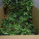 Grass Wall Panels, 20"x20" 6pcs Artificial Grass Backdrop Wall with Tropical Leaves, UV-Anti Faux Greenery Plant Boxwood Panels for Privacy Fence Screen, Green Wall Decor for Outdoor Indoor