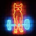 Cat Do Gym Neon Sign for Home Gym Decor Cat Lifting Weight Funny Lighting Sign LED Wall Art for Men Cave Garage Decor 12.6 * 16.1IN (Orange&ICeblue)