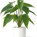 Mkono Fake Plants in Ceramic Pot, 11" Potted Artificial Plants for Home Decor Indoor Faux Green Leaf Plant with Modern White Planter for Desk Shelf Office Room Decoration (Pothos)
