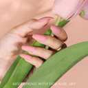 2 x Generic 288PCS Medium Press on Nails Coffin, Medium Length Matte Fake Nails, Acrylic Ballerina False Nails Full Cover, Stick Glue On Nails, 12 Colors