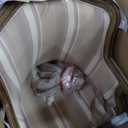 Baxton Studio Striped Charlemagne Traditional French Accent Chair, Oak Brown