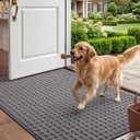 DEXI Door Mat Indoor Entrance 32x48, Entryway Doormats, Light Grey